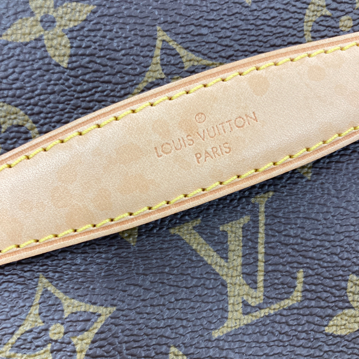 Louis Vuitton Bumbag