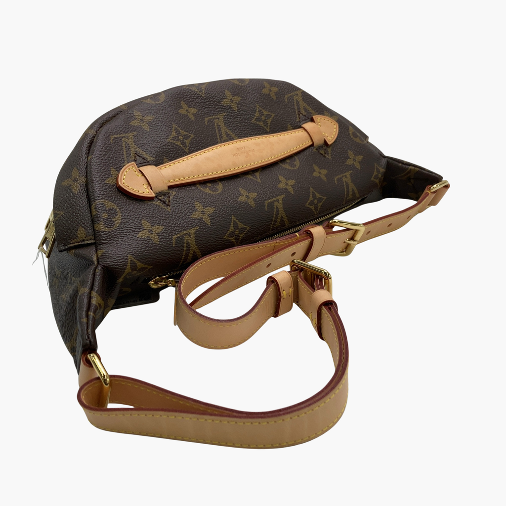Louis Vuitton Bumbag