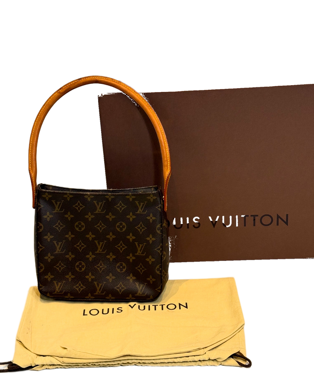 Louis Vuitton Looping